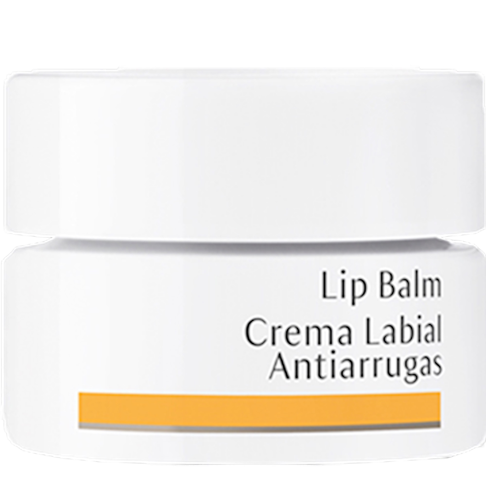 Lip Balm Dr. Hauschka Skincare   0.15 Ounces
